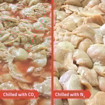 2026 IPPE Press Release Image